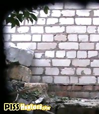 Cute chick spycamed pissing by the wall