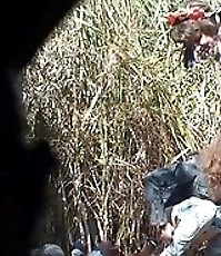 Two cute chicks pissing on a road trip