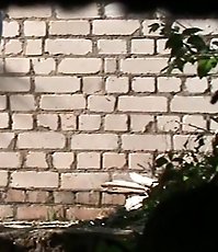 Cutie needs to pee and does it outdoors