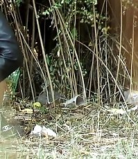 Outdoor bladder emptying caught on tape