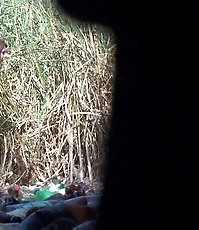 Unaware women chat while pissing outdoors