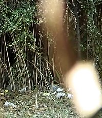 Outdoor bladder emptying caught on tape