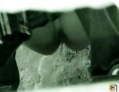 Hot chicks taking turns to piss into spycammed pan