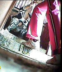 Three babes taking turns to pee in spycammed john