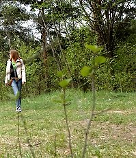 Cute kitty gets spycammed while peeing in the bushes