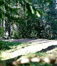 Shameless young blonde tart caught peeing on forest path