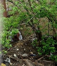 The bushes as the best place to piss for this miss