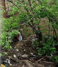 The bushes as the best place to piss for this miss