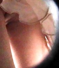 No panty upskirt video