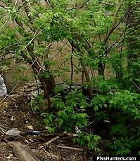 The bushes as the best place to piss for this miss