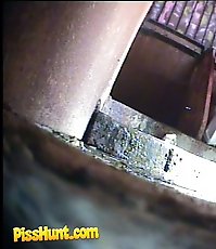 Hot chicks taking turns to piss into spycammed pan