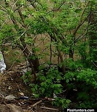 The bushes as the best place to piss for this miss