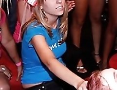 Wild girls go cock sucking crazy at this party!