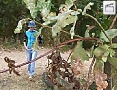 Perverted teen flasher caught pissing in the park