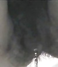 Hirsute beaver gushing with urine like a fountain